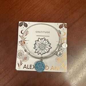 Alex and Ani silver charm bracelet. “Gratitude”.